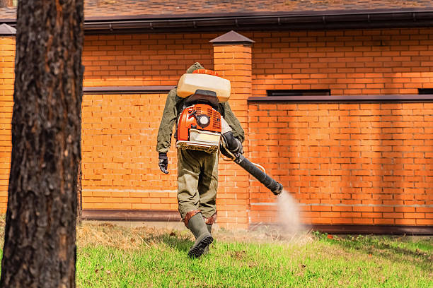 Top rated local Mosquito Control specialists in Wauconda, IL